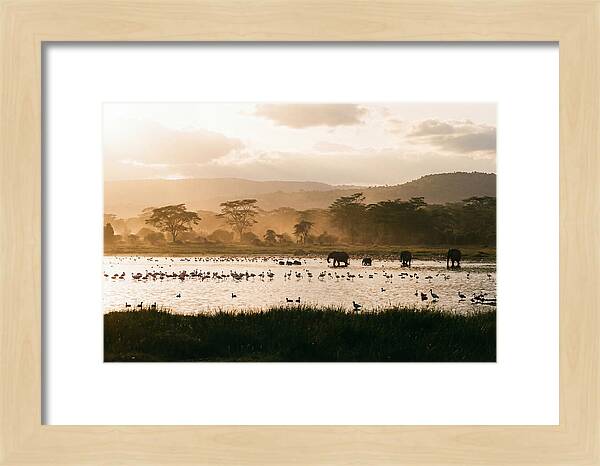 Lake Nakuru Savanna Serenity