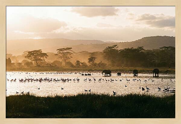 Lake Nakuru Savanna Serenity