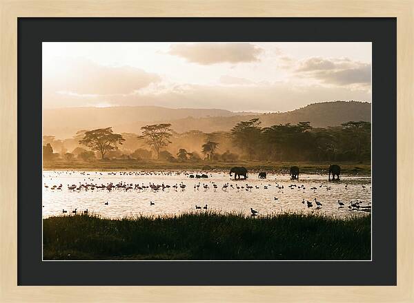 Lake Nakuru Savanna Serenity