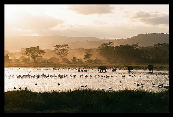 Lake Nakuru Savanna Serenity