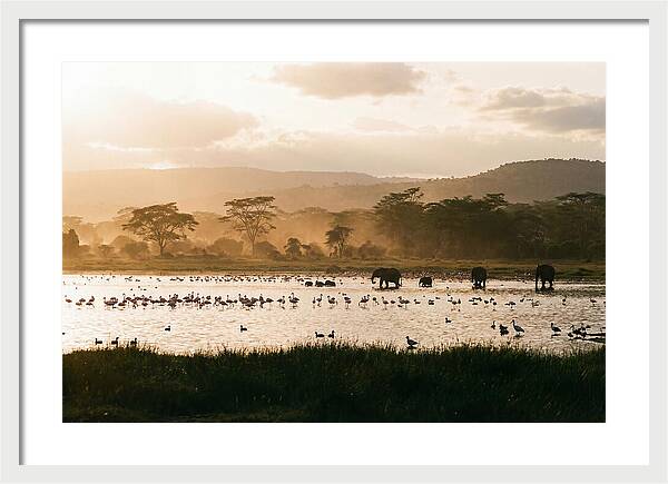 Lake Nakuru Savanna Serenity