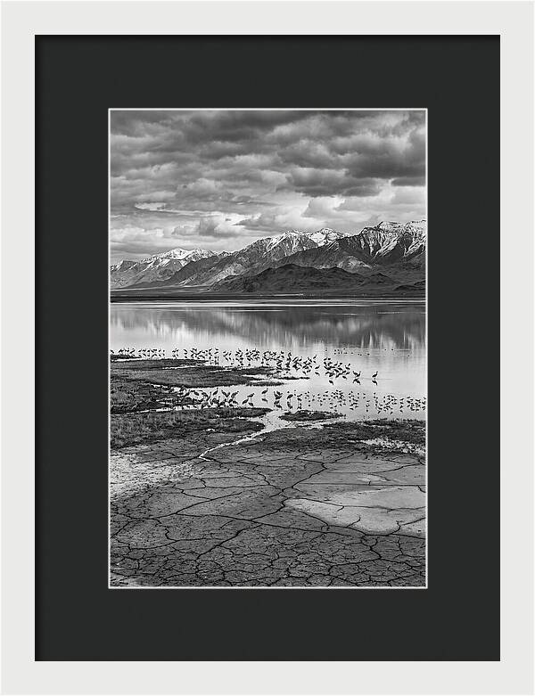 Lake Nakuru Wildlife Landscape