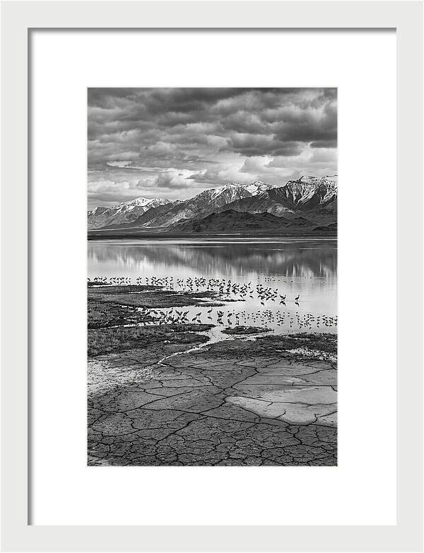 Lake Nakuru Wildlife Landscape