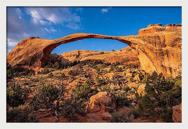 Landscape Arch At Arches National Park