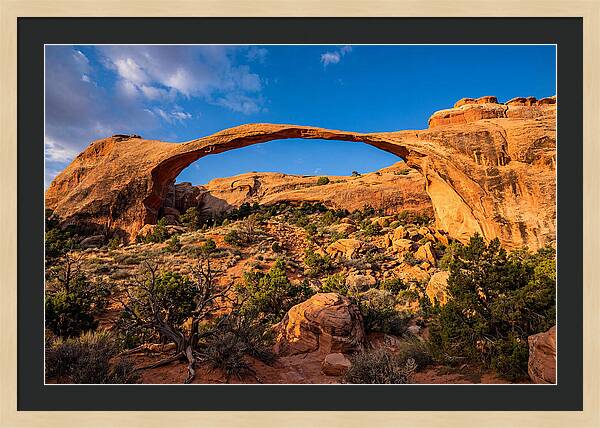 Landscape Arch At Arches National Park
