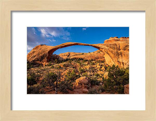 Landscape Arch At Arches National Park