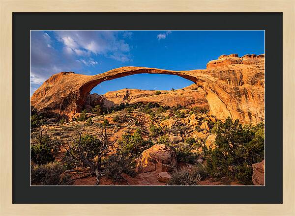 Landscape Arch At Arches National Park