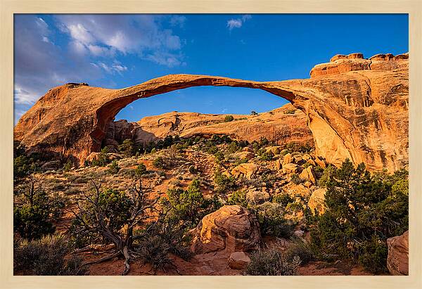 Landscape Arch At Arches National Park