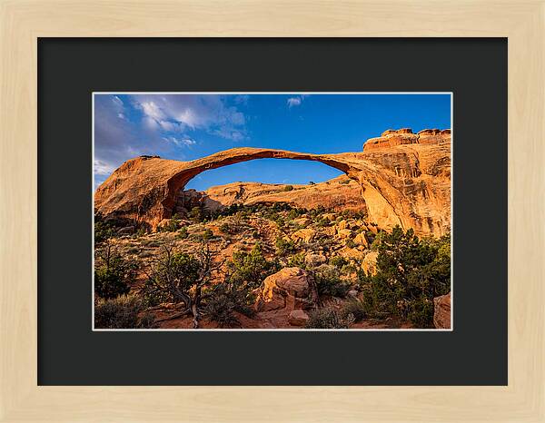 Landscape Arch At Arches National Park
