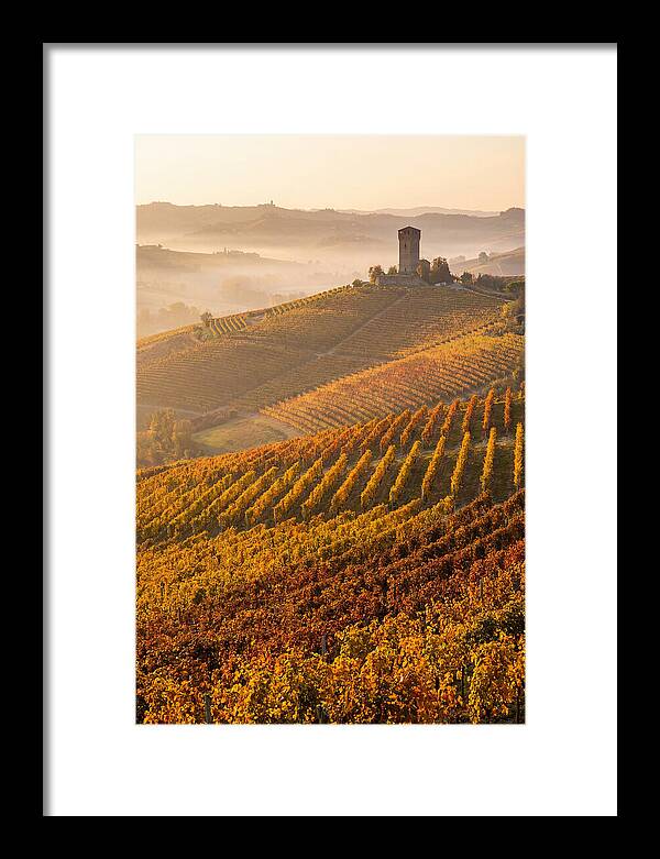 Langhe Vineyards At Golden Hour