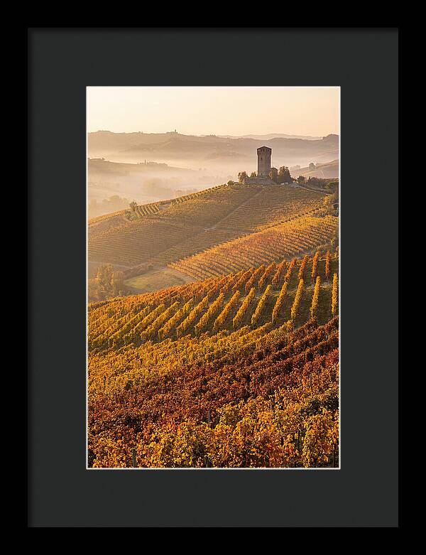 Langhe Vineyards At Golden Hour