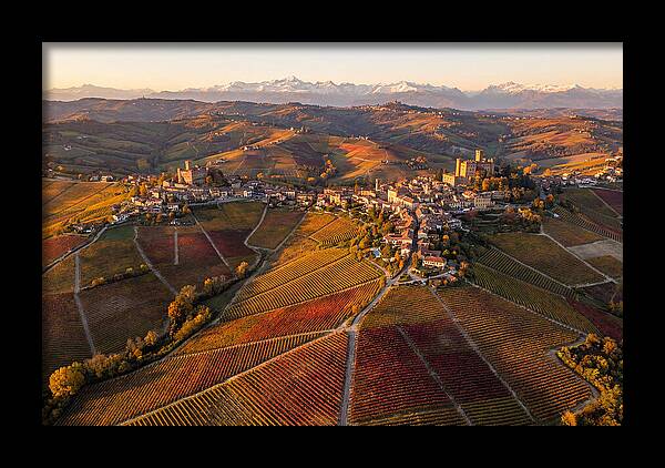 Langhe Wine Region In Autumn