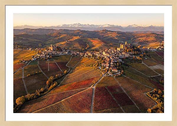 Langhe Wine Region In Autumn