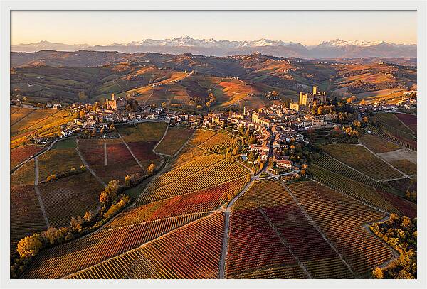 Langhe Wine Region In Autumn
