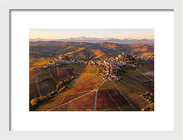 Langhe Wine Region In Autumn