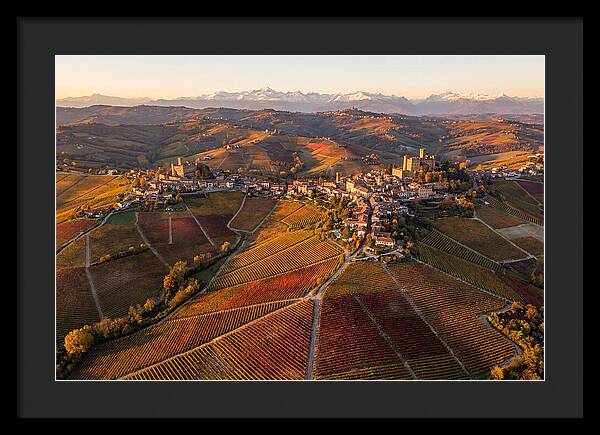 Langhe Wine Region In Autumn