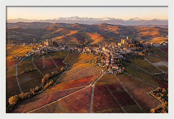 Langhe Wine Region In Autumn