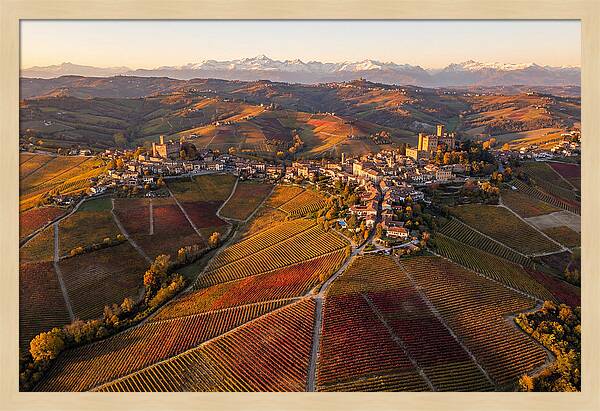 Langhe Wine Region In Autumn
