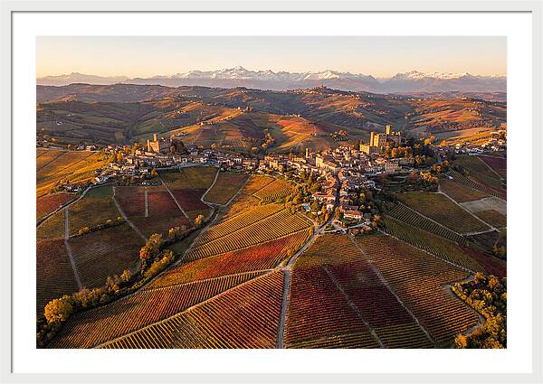 Langhe Wine Region In Autumn