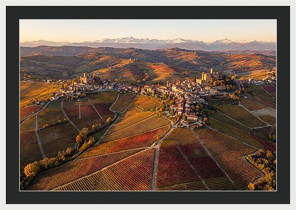 Langhe Wine Region In Autumn