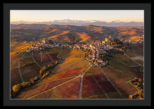 Langhe Wine Region In Autumn