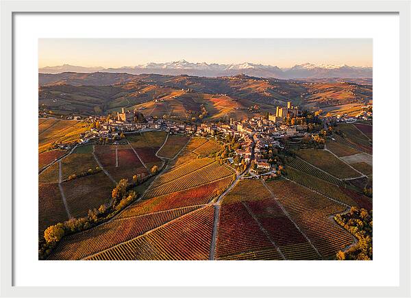 Langhe Wine Region In Autumn