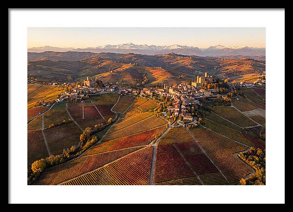 Langhe Wine Region In Autumn