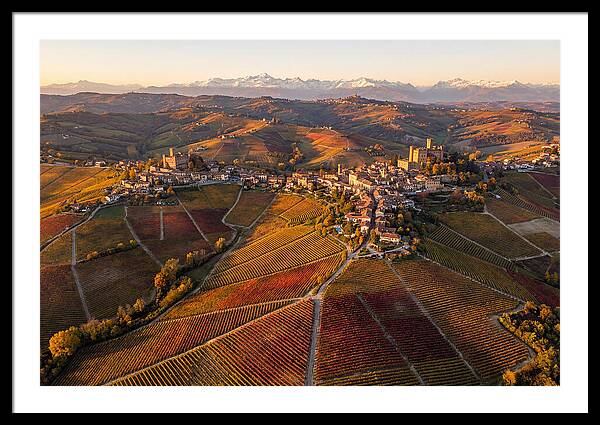 Langhe Wine Region In Autumn
