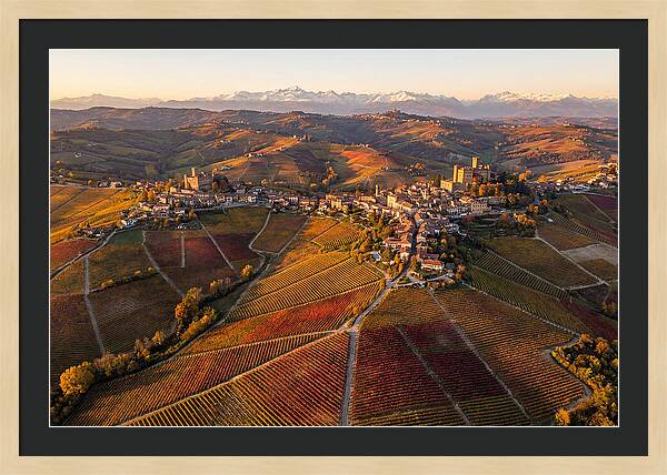 Langhe Wine Region In Autumn