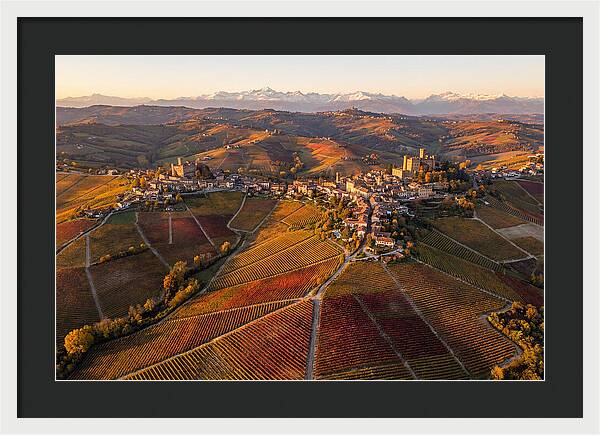 Langhe Wine Region In Autumn