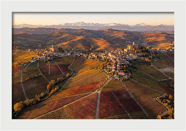 Langhe Wine Region In Autumn