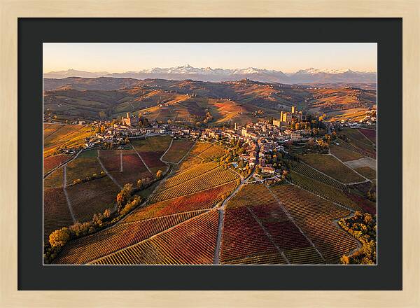 Langhe Wine Region In Autumn