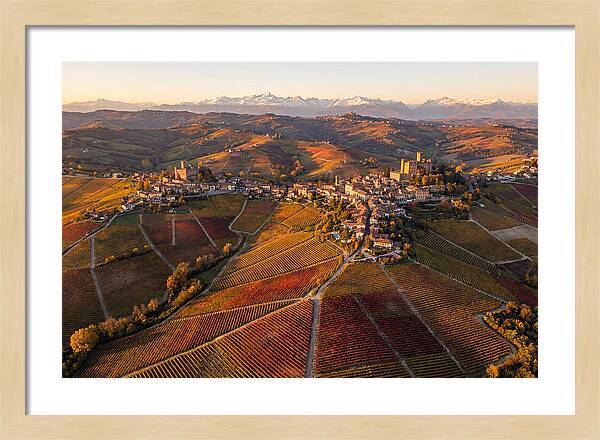 Langhe Wine Region In Autumn