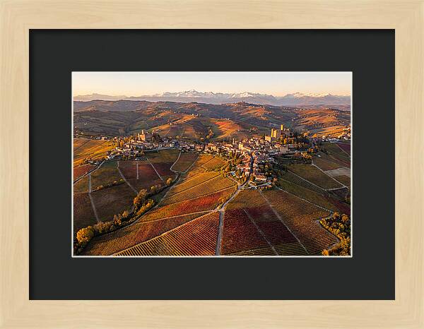 Langhe Wine Region In Autumn
