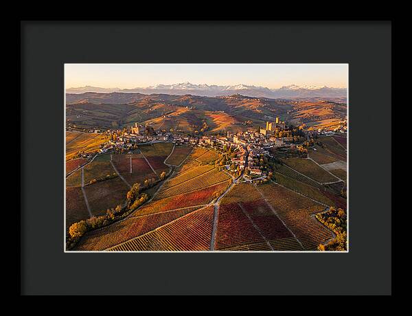 Langhe Wine Region In Autumn