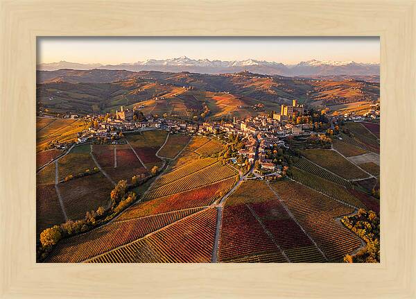 Langhe Wine Region In Autumn