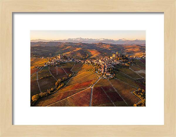 Langhe Wine Region In Autumn