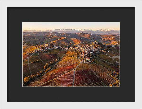 Langhe Wine Region In Autumn