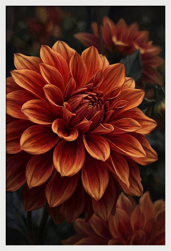Large Dahlia Bloom In Vivid Orange