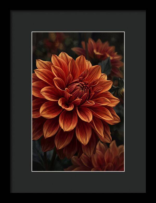 Large Dahlia Bloom In Vivid Orange