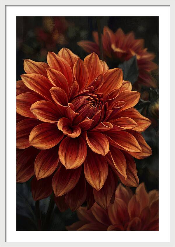 Large Dahlia Bloom In Vivid Orange