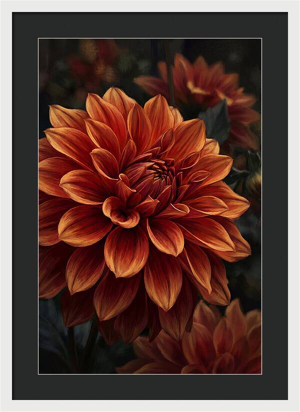 Large Dahlia Bloom In Vivid Orange