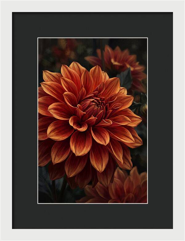 Large Dahlia Bloom In Vivid Orange