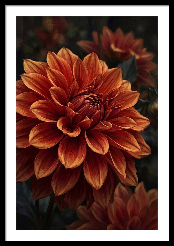 Large Dahlia Bloom In Vivid Orange