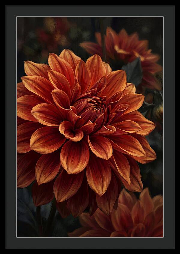 Large Dahlia Bloom In Vivid Orange
