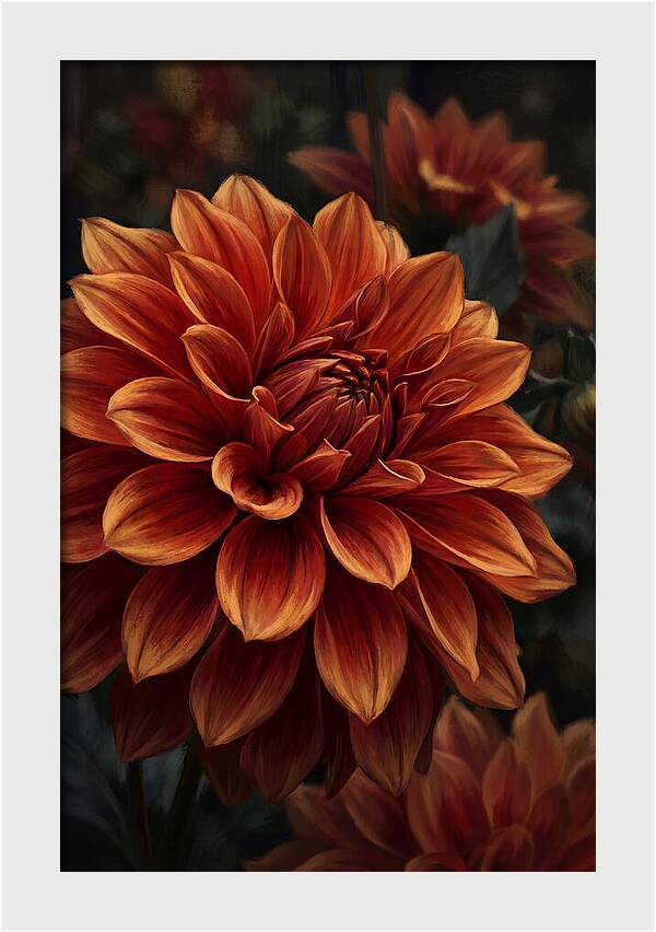 Large Dahlia Bloom In Vivid Orange