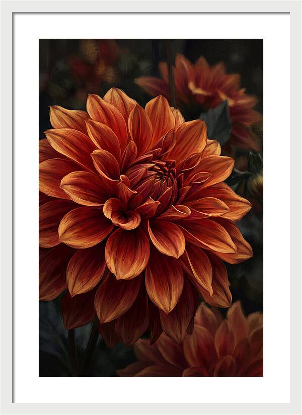 Large Dahlia Bloom In Vivid Orange