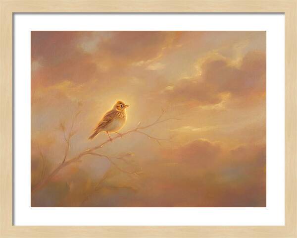Lark At Dusk