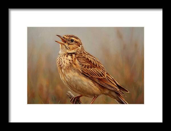 Lark Singing In Nature