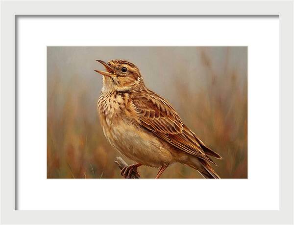 Lark Singing In Nature